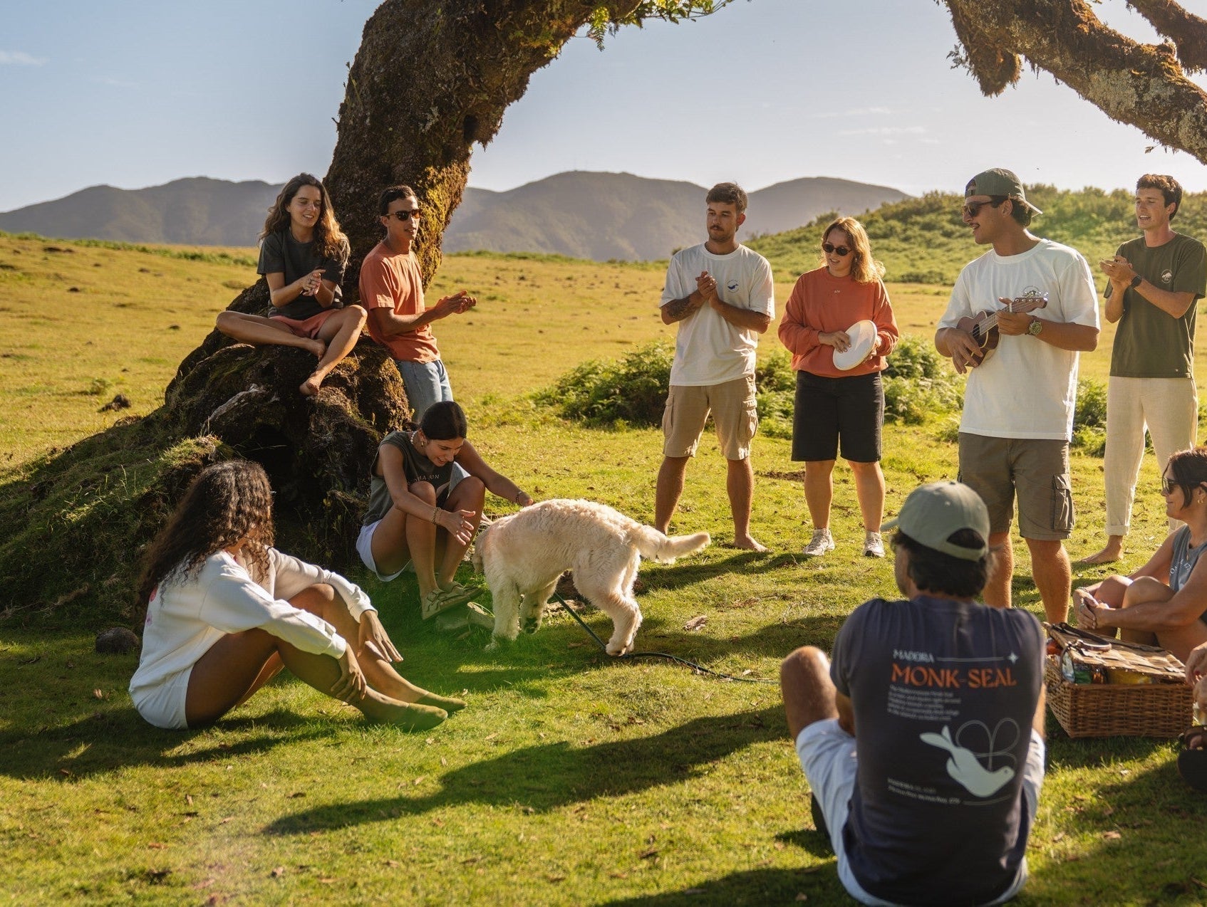 25 years of Laurissilva Natural World Heritage Site by UNESCO