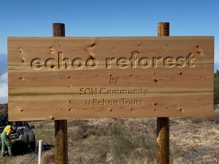 SOU plantou 76 árvores no Pico do Arieiro, na Madeira, na sua primeira ação de reflorestação, em parceria com o ICNF. Este projeto reforça o compromisso da marca com a sustentabilidade, a compensação de carbono e a moda sustentável em Portugal.