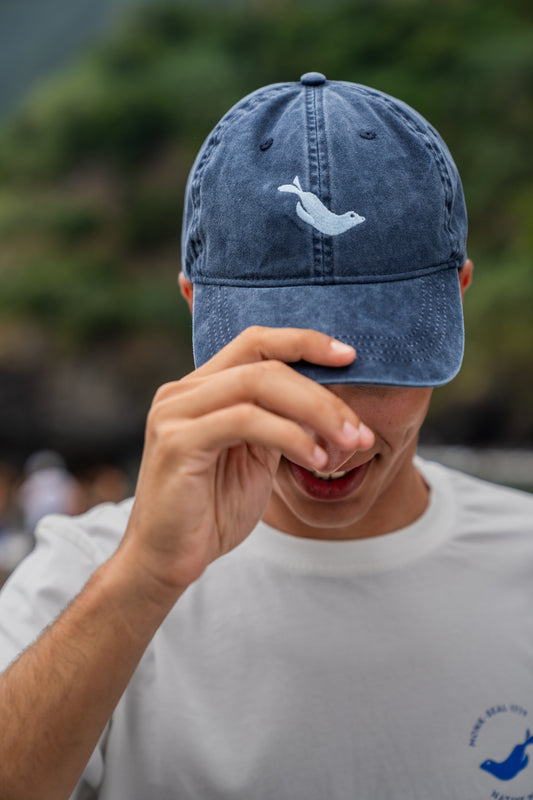 Monk Seal Cap in Blue
