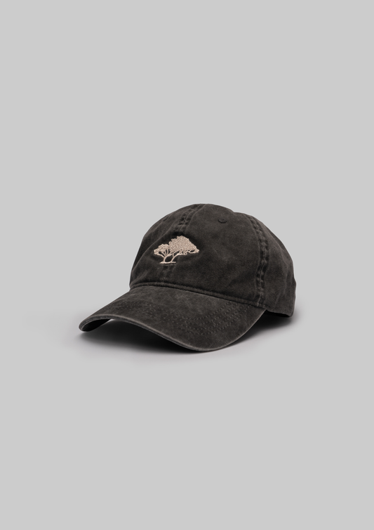 Laurissilva Cap in Black