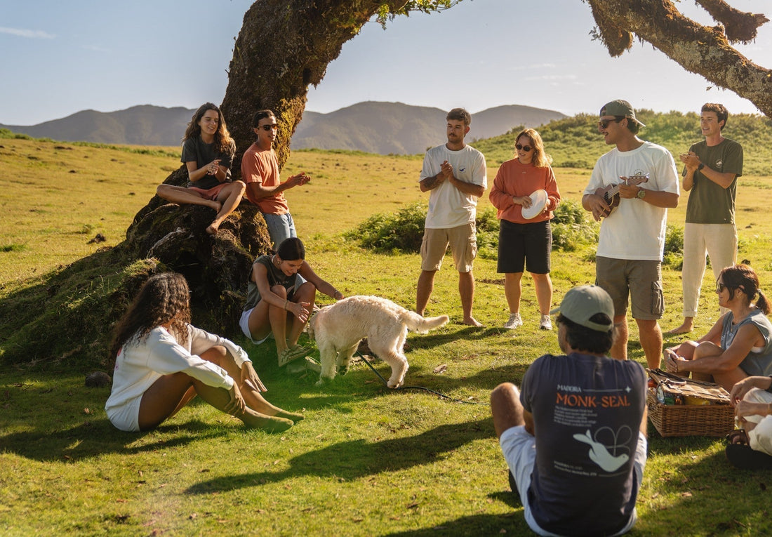 2 de dezembro Laurissilva, vestir o Património Natural