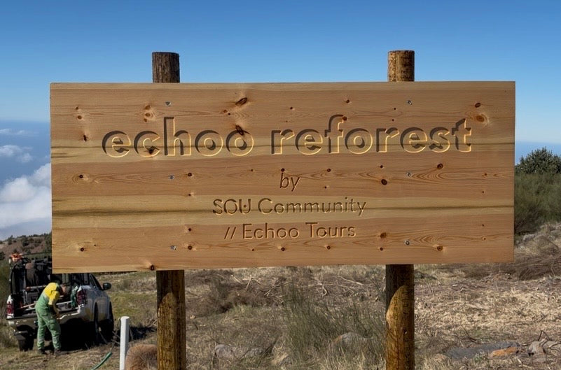  SOU plantou 76 árvores no Pico do Arieiro, na Madeira, na sua primeira ação de reflorestação, em parceria com o ICNF. Este projeto reforça o compromisso da marca com a sustentabilidade, a compensação de carbono e a moda sustentável em Portugal.