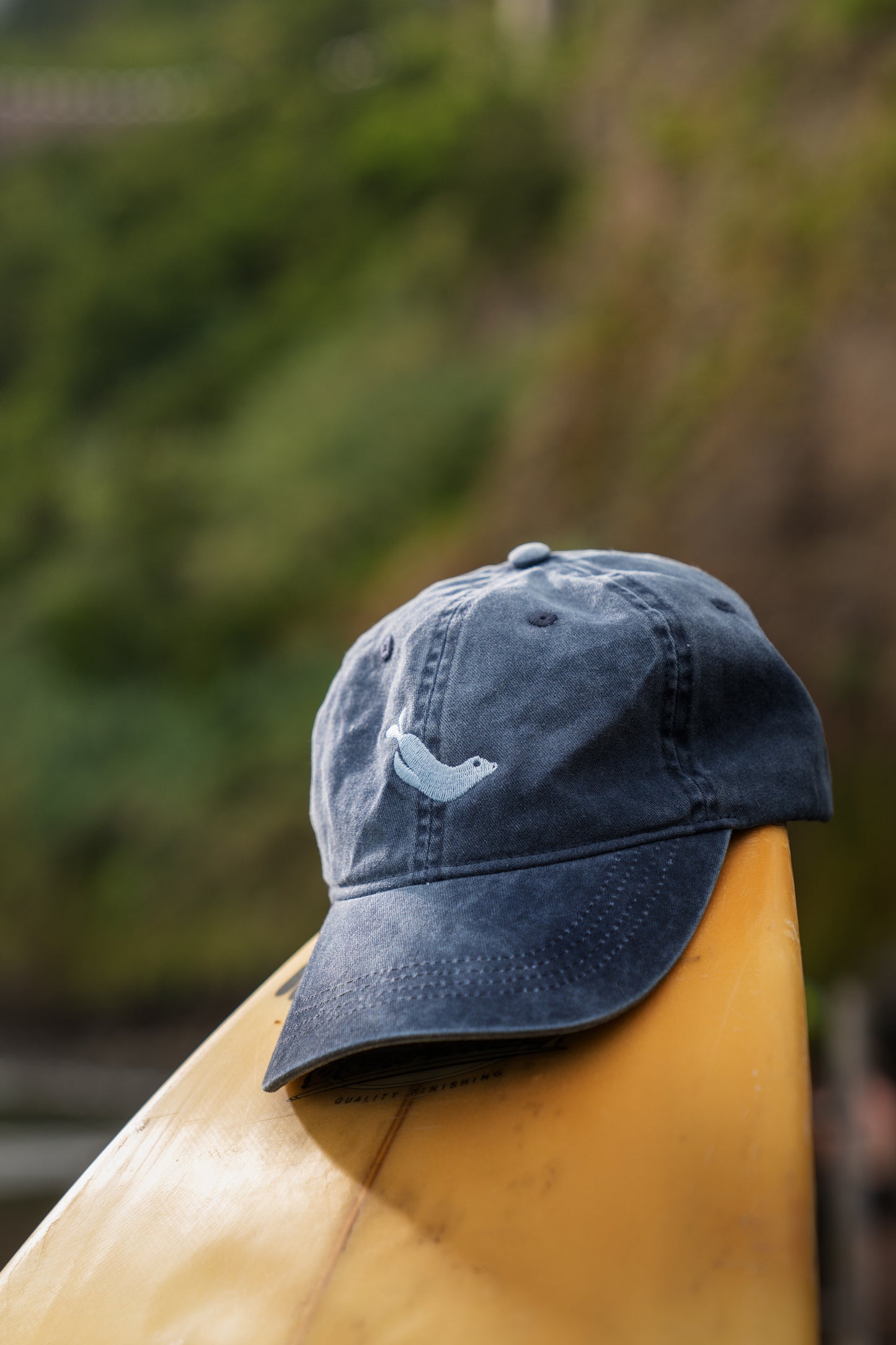 Monk Seal Cap in Blue