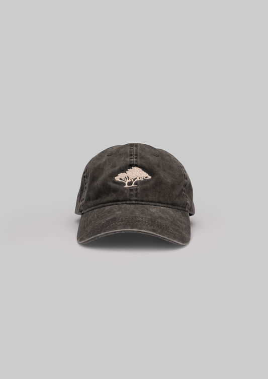 Laurissilva Cap in Black