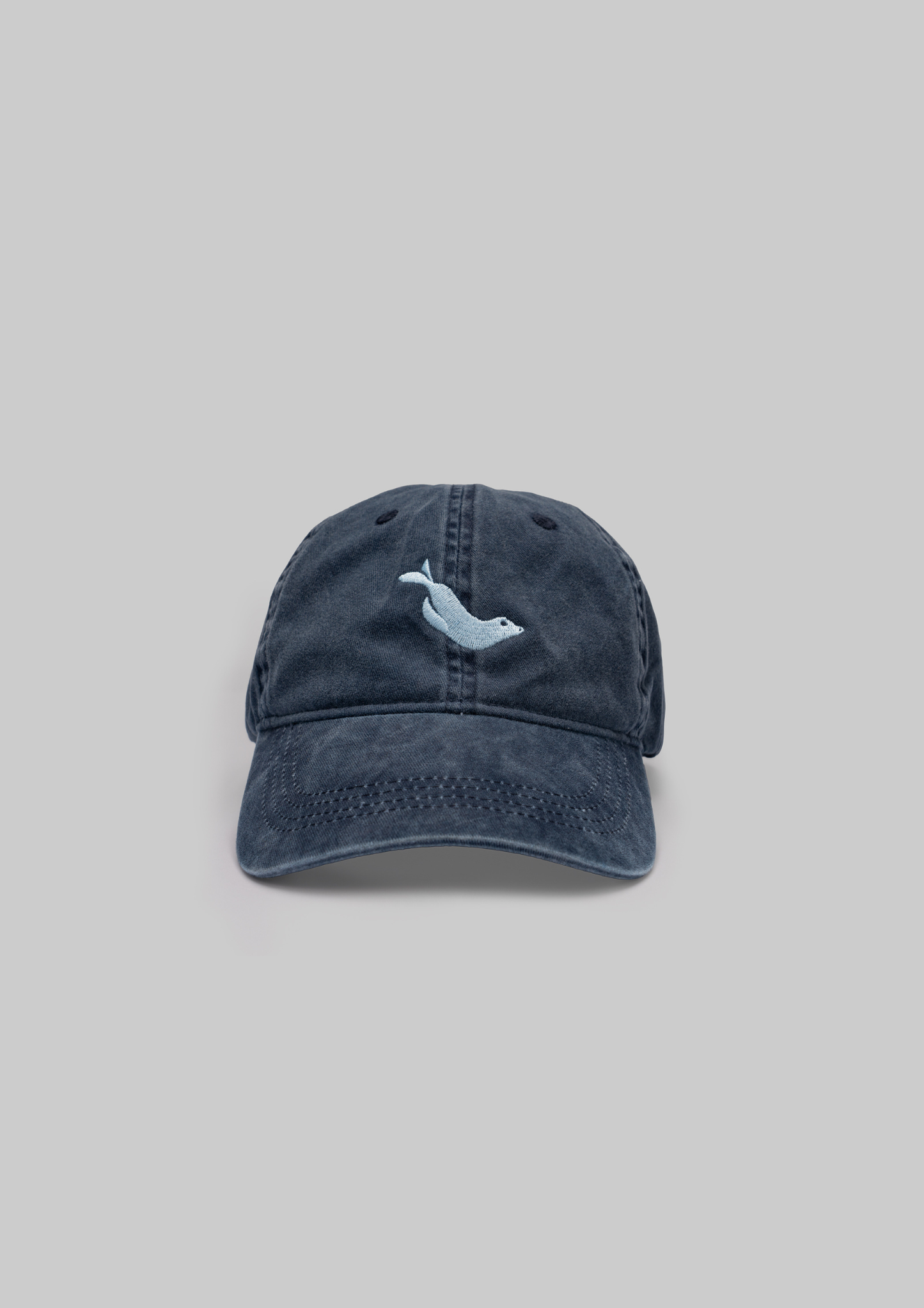 Monk Seal Cap in Blue