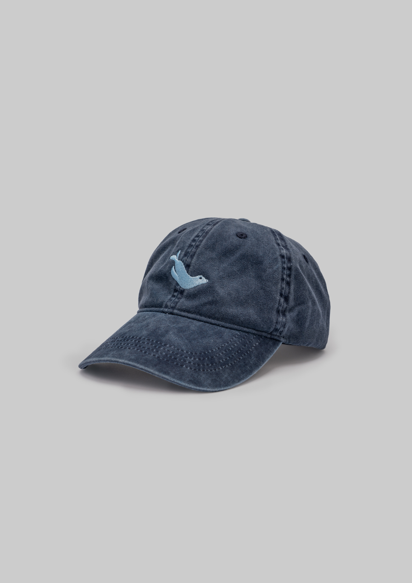 Monk Seal Cap in Blue