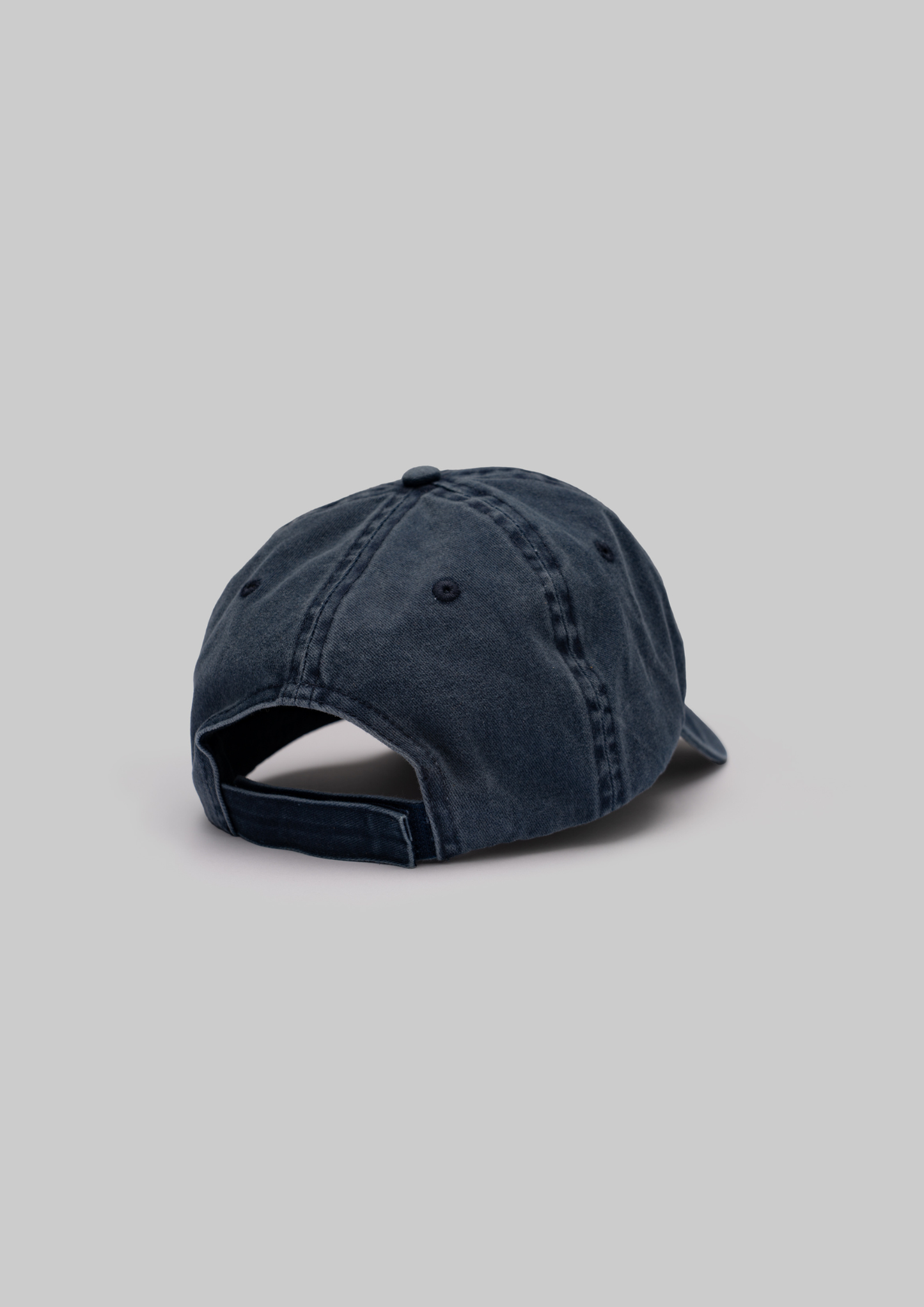 Monk Seal Cap in Blue